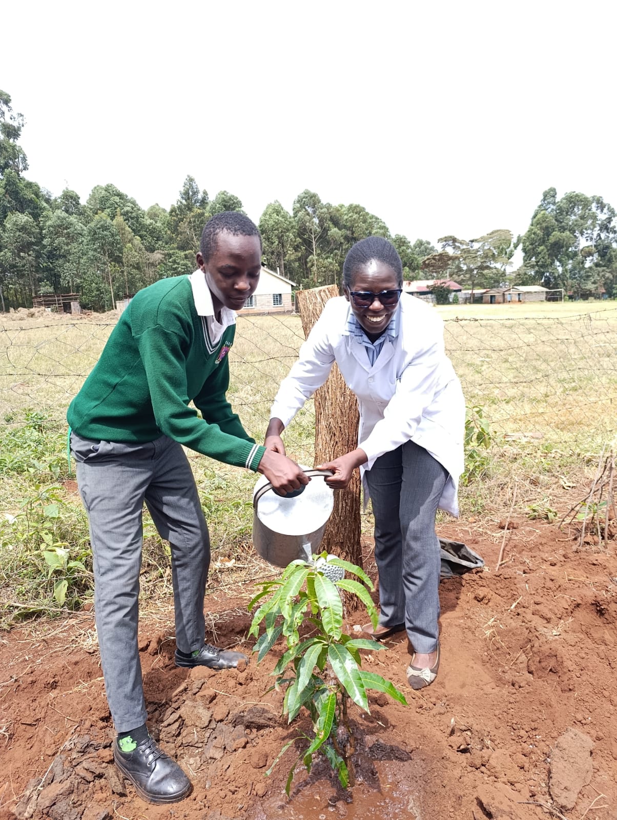 Guidance and Support